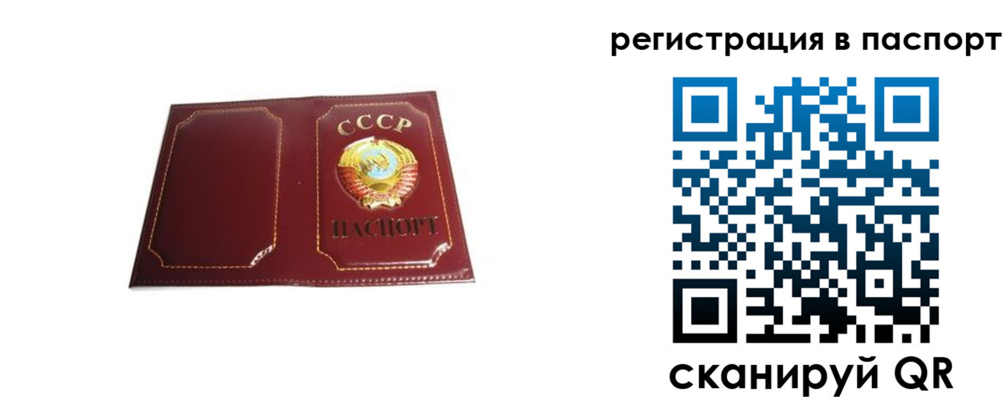 прописка 2025 в Заозёрном